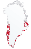 Alpe-ærenpris © Naturporten - Kirsten Hjørne